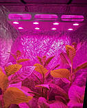 Фіто Led світильник Гагарин 4 550W на 12 рослин, фото 7