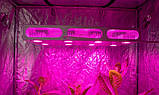 Фіто Led світильник Гагарин 4 550W на 12 рослин, фото 8