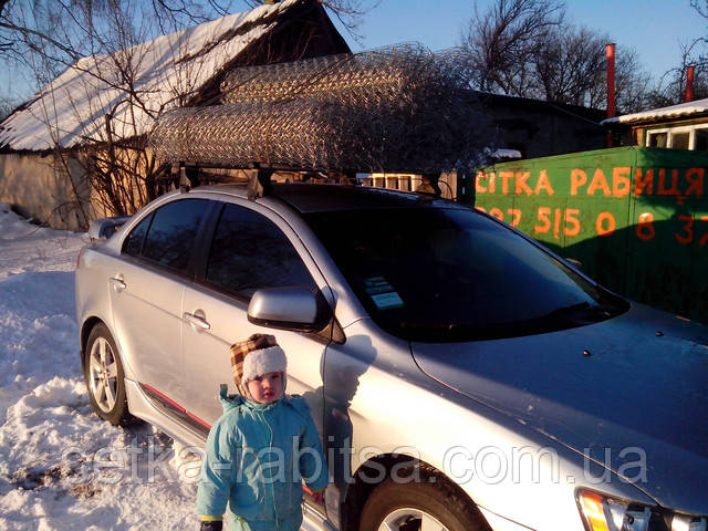 Сітка рабиця