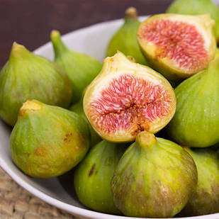 Саджанці інжиру Смоковниця (Fig tree) 3-х річний - ремонтантний, самоплодовий, солодкий