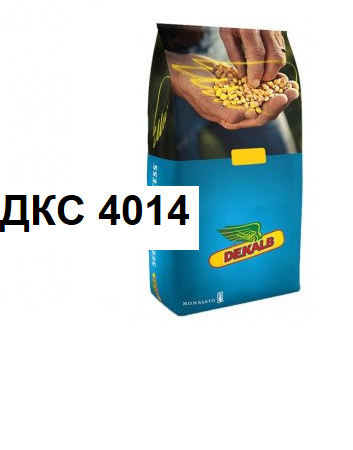 Семена кукурузы Монсанто ДКС 4014 (Dekalb) ФАО 310