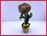 Яктус іграшка, що співає Іграшка Повторюшка кактус в одязі з синім шарфом, фото 5