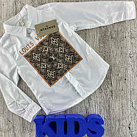 Фирменная детская рубашка на мальчика с рисунком 134-140, коричневый