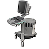 Siemens S2000 (2011г.) + 2 датчики Універсальна ультразвукова система експертного класу, б/у, фото 7