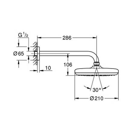 Лійка для верхнього душу з тримачем Grohe Tempesta 210 26411000, фото 2