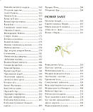 Біблія "Біблія для молодих" ( укр.), фото 6