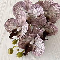 Искусственная орхидея фаленопсис из 5 соцветий дымчато-фиолетовая VF 055