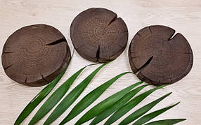 Зріз, спил дерева ( Сосна)