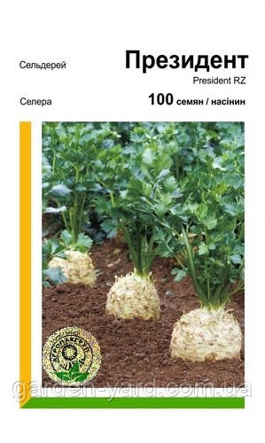 Насіння селери Президент 100шт. Rijk Zwaan