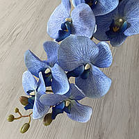 Искусственная орхидея фаленопсис голубая VF 003
