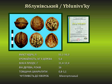 Яблунівський однорічний