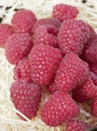 Малина ШАПКА МОНОМАХА