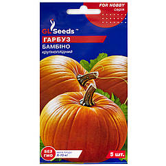 Гарбуз Бамбіно 5 шт GL Seeds
