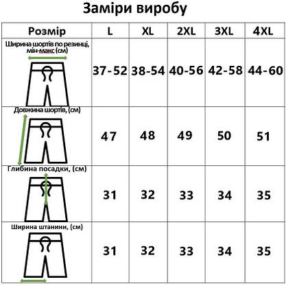 Чоловічі пляжні шорти для купання і прогулянок подовжені (арт. 22-15-14/) Блакитний, L, фото 5