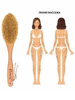 Дренажна щітка для Драйбрашинга ( масаж сухою щіткою ) Esthetic House Dry Massage Brush (39*8*4,5 см)