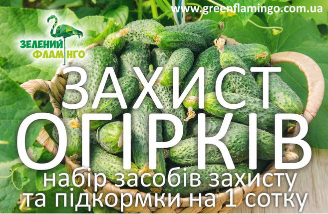 Набір засобів захисту та підживлення огірків на 1 сотку на весь сезон, фото 1