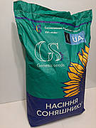 Соняшник під гранстар КОЗАК. Насіння соняшнику КОЗАК 47ц/га Гібрид КОЗАК тримає заразиху A-G+. Екстра і стандарт фракції в наявності.