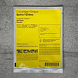 Огірок Спіно F1 500 шт партенокарпічний насіння пакетоване Syngenta, фото 2