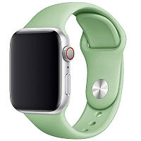 Силиконовый ремешок для Apple watch 42mm / 44mm Мятный / Mint