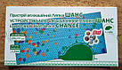 Аплікатор Ляпко Шанс 5,8 AG розслабляє, знімає біль, нормалізує кровообіг, заспокоює, точки!, фото 5