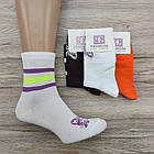 Шкарпетки жіночі високі весна/осінь асорті 25 PREMIUM Україна 30034584, фото 3