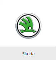 Захист фар Skoda