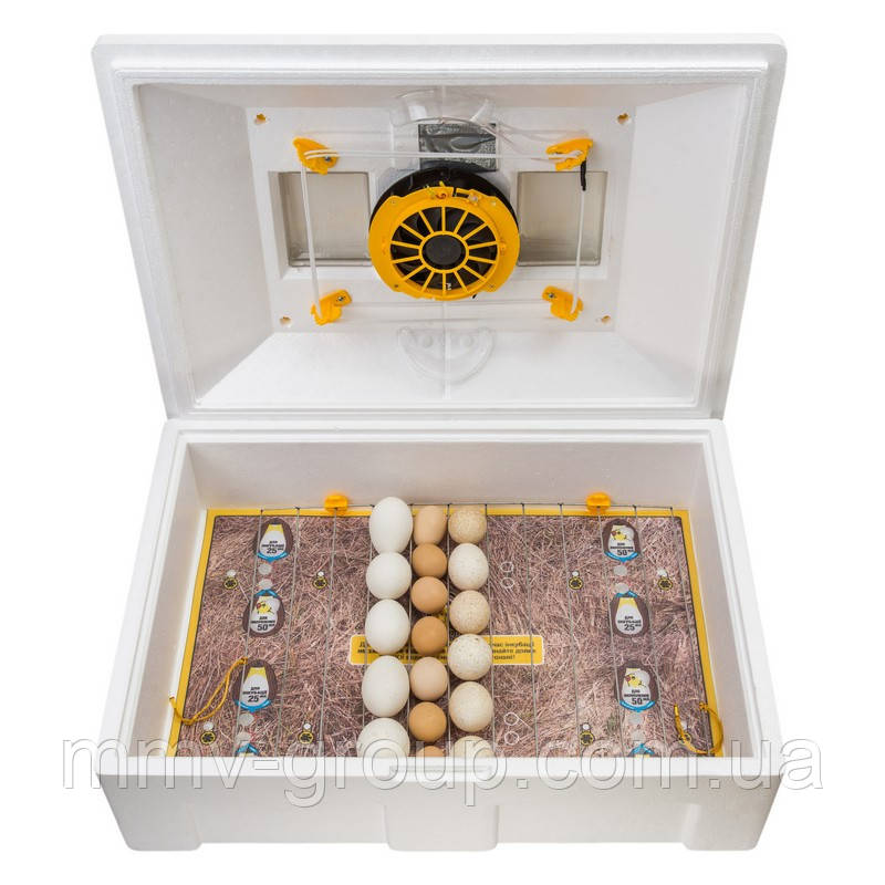 Инкубатор для яиц Теплуша 100 ТМВ, тэновый + влагомер - фото 1 - id-p866347796