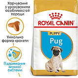 Корм сухий Royal Canin для цуценят породи мопс Pug PUPPY 1,5 kg, фото 9