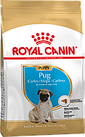 Корм сухий Royal Canin для цуценят породи мопс Pug PUPPY 1,5 kg