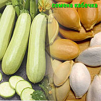 Насіння кабачка