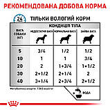 Корм вологий Royal Canin для собак при небажаній реакції на корм Sensitivity Control Chicken with Rice 420 g, фото 3
