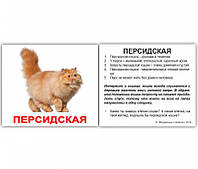 Карточки мини русские с фактами "Породы кошек" 379512