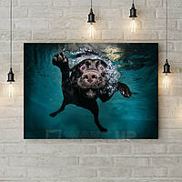 Картина в коридор, настенный декор на кухню, картины для декора интерьера Собака подводник 60х40 см