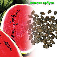 Насіння Кавуна