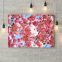 Картина на холсте с подрамником, картины на кухню Розовые сакуры 70х50 см