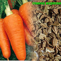 Насіння моркви
