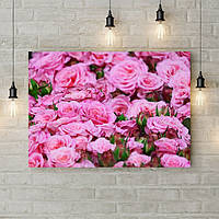 Картина на холсте с подрамником, картины на кухню Розовые розы в саду, 70х50 см
