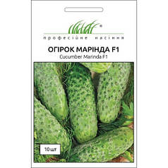 Насіння Огірок самоопилювальне Маринда F1 10 насіння Seminis Професійне насіння