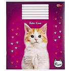 Зошит шкільний Мрії Збуваються 24арк в клітинку арт. 3289, фото 2