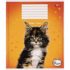 Зошит шкільний Мрії Збуваються 24арк в клітинку арт. 3289, фото 3