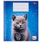 Зошит шкільний Мрії Збуваються 24арк в клітинку арт. 3289, фото 4