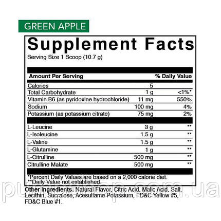 (уцінка термін по 9,23) Амінокислоти Rival Nutrition Steam BCAA 321 г (30 порц.), фото 3