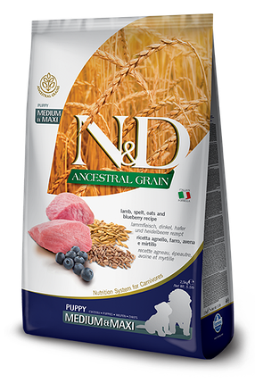 N&D LOW GRAIN DOG LAMB & BLUEBERRY PUPPY MEDIUM & MAXI 12 KG Низькозерновий сухий корм для цуценят середніх та великих порід (ягня, фото 1