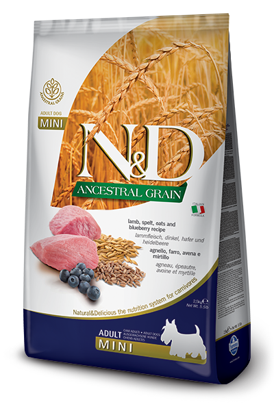 N&D LOW GRAIN DOG LAMB & BLUEBERRY ADULT MINI 2,5 KG
Низькозерновий сухий корм для собак дрібних порід (ягня / чорниця), 2,5 кг