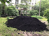 Чернозем під газон, торфосуміш, фото 8