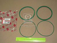 Ремкомлпект масляного фильтра КамАЗ Евро (2 наим.) зелен.силик 740-1017001ЕВРО