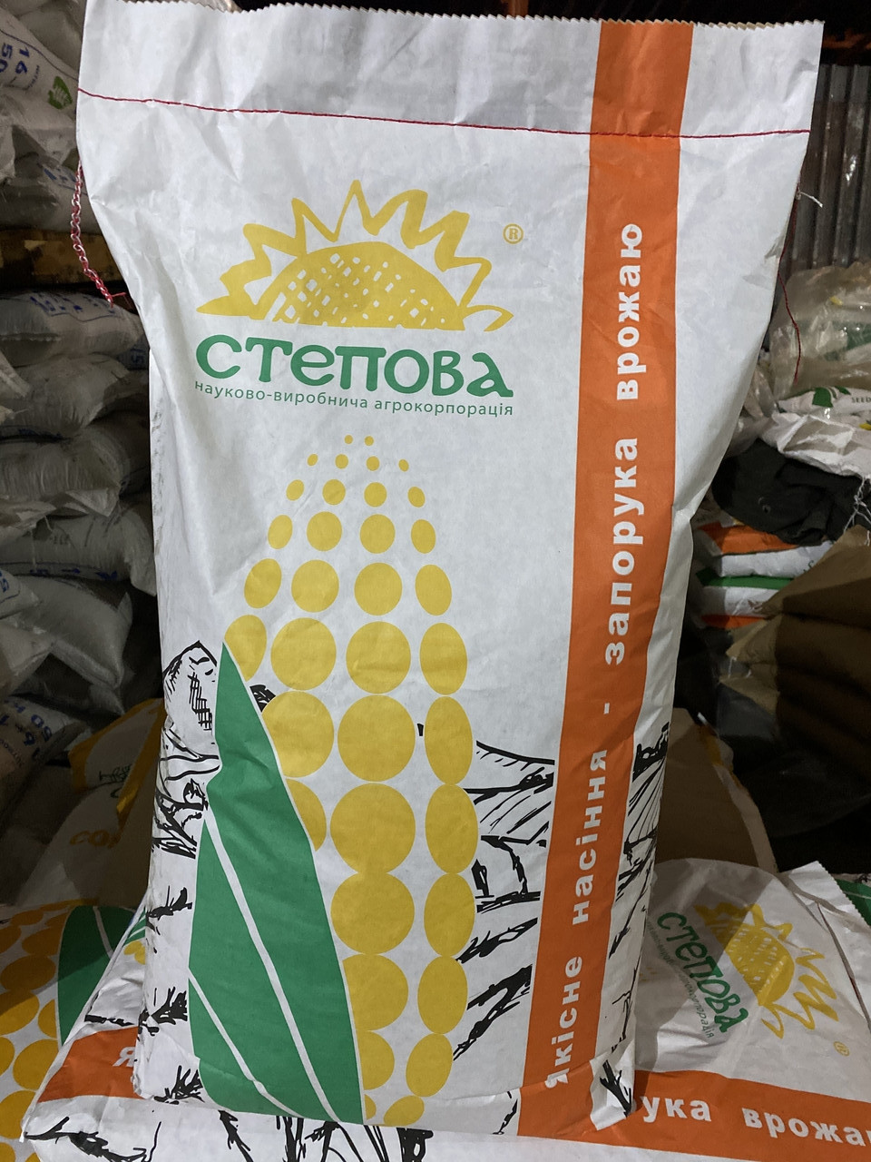 Насіння кукурудзи Даніїл Степова Фао 280