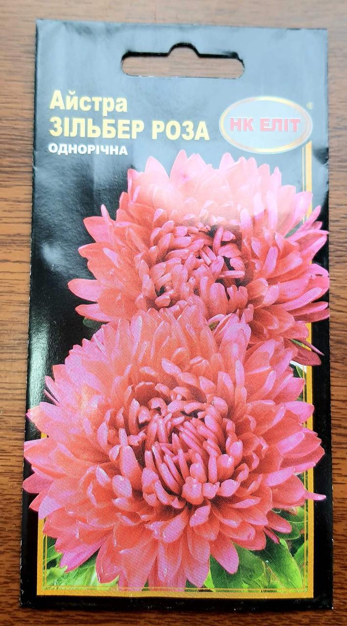 Астра Зільбер троянда