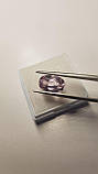 Натуральний Кунціт (Сподумен) 4.9Сt. 12.2×8.12 × 6.6 mm, фото 5