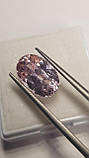 Натуральний Кунціт (Сподумен) 5.9Сt. 13.4×8.3 × 6.8 mm, фото 5